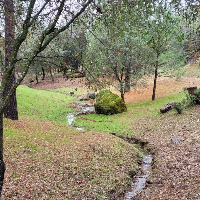 Home In Groveland Near Yosemite Np Exterior photo